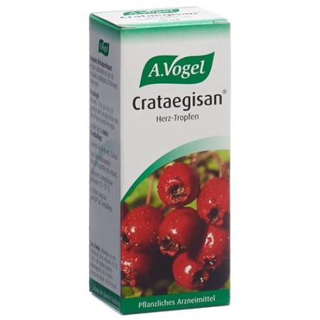 Vogel Crataegisan Drops Bottle 50 ml - PrimeCare Global