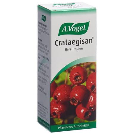 Vogel Crataegisan drops bottle 100 ml - PrimeCare Global