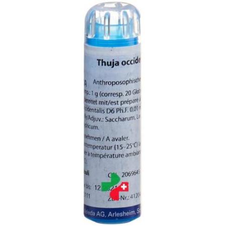 WELEDA Thuja Glob D 6 4 g - PrimeCare Global