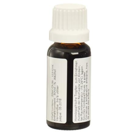 Ceres Alchemilla mother tint bottle 20 ml - PrimeCare Global