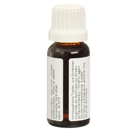 Ceres Avena sativa mother tinc bottle 20 ml - PrimeCare Global