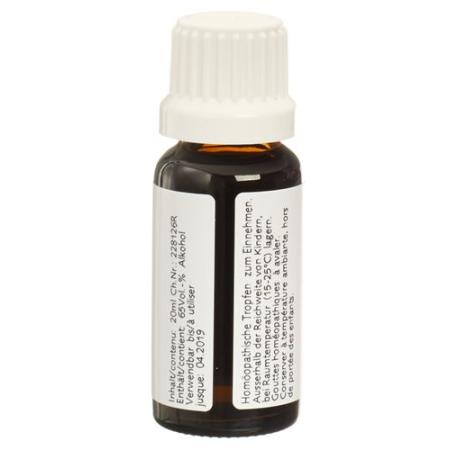 Ceres Echinacea purpurea mother tint bottle 20 ml - PrimeCare Global