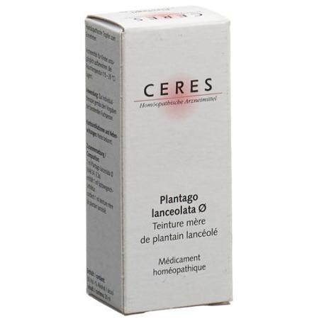 Ceres Plantago lanceolata mother tint bottle 20 ml - PrimeCare Global
