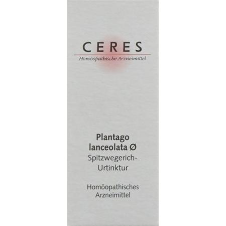 Ceres Plantago lanceolata mother tint bottle 20 ml - PrimeCare Global
