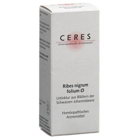 Ceres Ribes nigrum folium mother tint 20 ml - PrimeCare Global