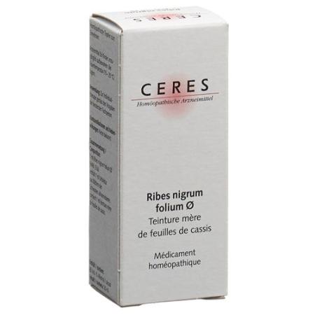 Ceres Ribes nigrum folium mother tint 20 ml - PrimeCare Global