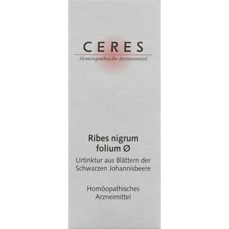 Ceres Ribes nigrum folium mother tint 20 ml - PrimeCare Global