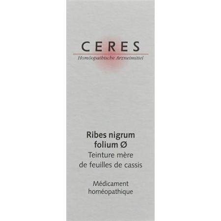 Ceres Ribes nigrum folium mother tint 20 ml - PrimeCare Global
