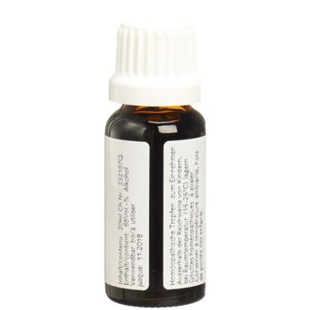 Ceres Salvia mother tint bottle 20 ml - PrimeCare Global