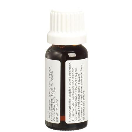 Ceres Taraxacum Mother Tint Bottle 20 ml - PrimeCare Global