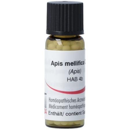 Omida Apis mellifica Glob 12C 2g - PrimeCare Global