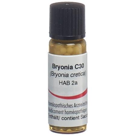 Omida Bryonia Glob C 30 2g - PrimeCare Global