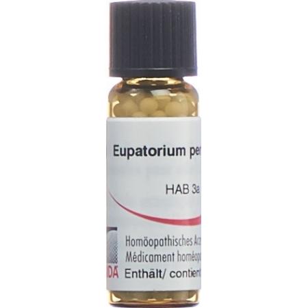 Omida Eupatorium perfoliatum Glob 30C 2g - PrimeCare Global