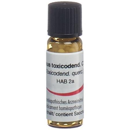 Omida Rhus toxicodendron Glob C 30 2 g - PrimeCare Global