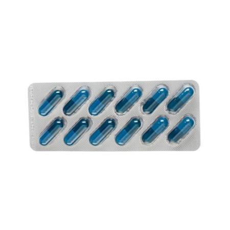 Condrosulf Kaps 400 mg 180 pcs - PrimeCare Global