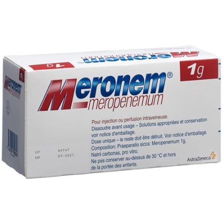 Meronema IV Dry sub 1 g for the preparation of an injection or - PrimeCare Global