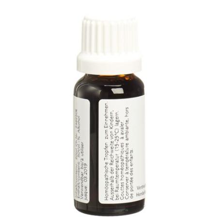 Ceres Viscum mother tint 20 ml - PrimeCare Global