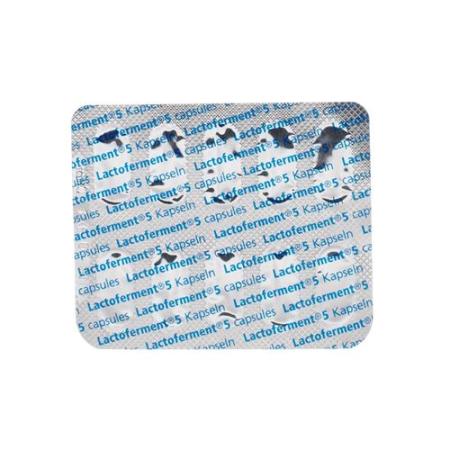 Lactoferment caps 20 pcs - PrimeCare Global