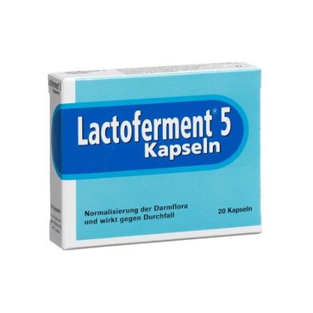 Lactoferment caps 20 pcs - PrimeCare Global
