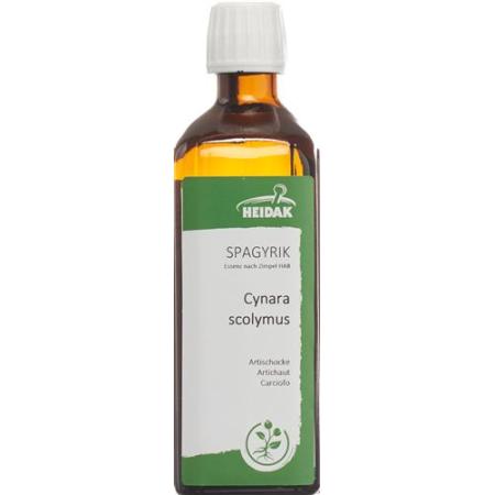 HEIDAK SPAGYRIK Cynara scolymus Bottle 500 ml - PrimeCare Global