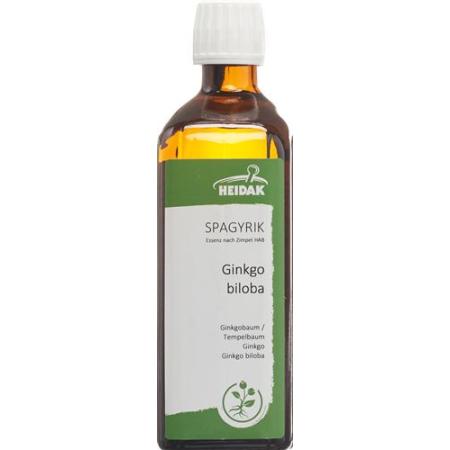 HEIDAK SPAGYRIK Ginkgo biloba bottle 500 ml - PrimeCare Global