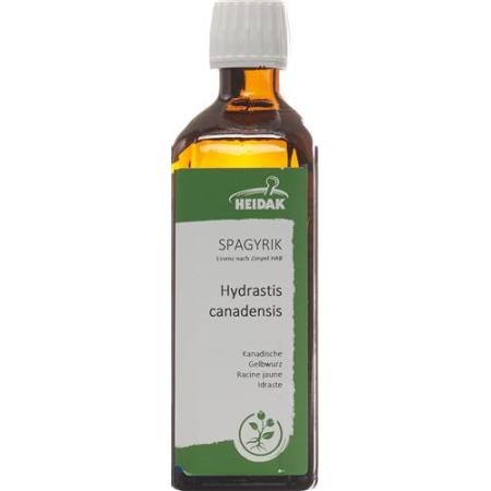 HEIDAK SPAGYRIK Hydrastis canadensis Bottle 500 ml - PrimeCare Global