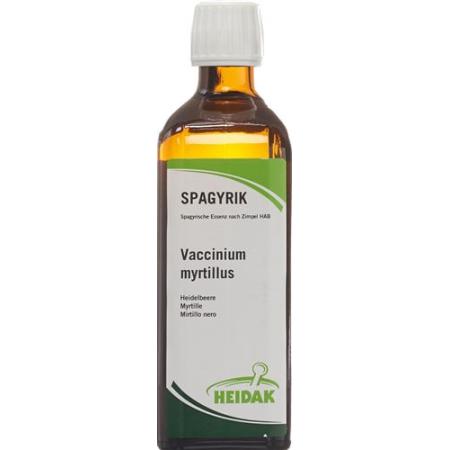 HEIDAK SPAGYRIK Vaccinium myrtillus bottle 500 ml - PrimeCare Global