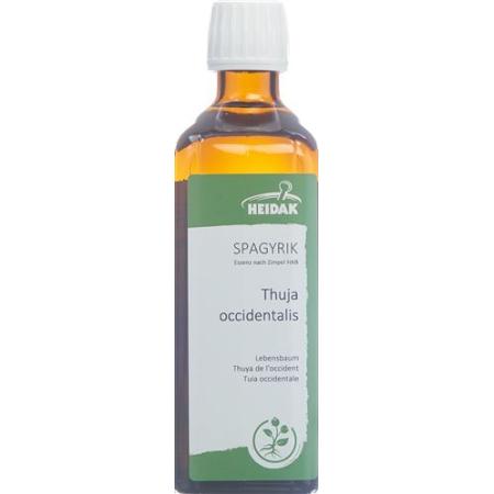 HEIDAK SPAGYRIK Thuja occidentalis Bottle 500 ml - PrimeCare Global