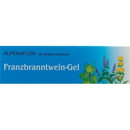 Alpenaflor Rubbing Alcohol Gel Tb 110 g - PrimeCare Global