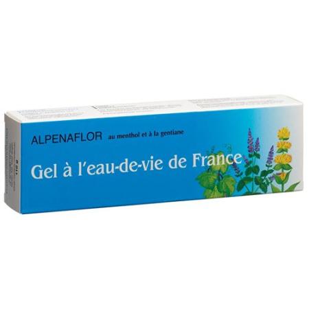 Alpenaflor Rubbing Alcohol Gel Tb 110 g - PrimeCare Global