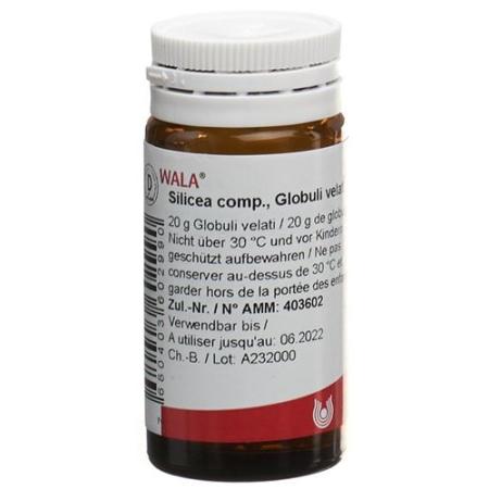 Wala Silicea comp. Glob bottle 20 g - PrimeCare Global