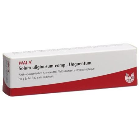Wala Solum uliginosum comp. Ointment Tb 30 g - PrimeCare Global