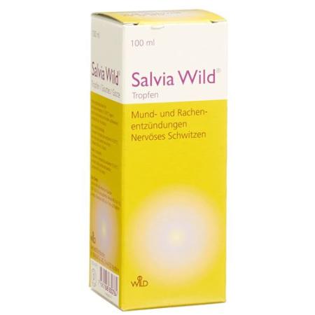 Salvia Wild Drops 100 ml - PrimeCare Global