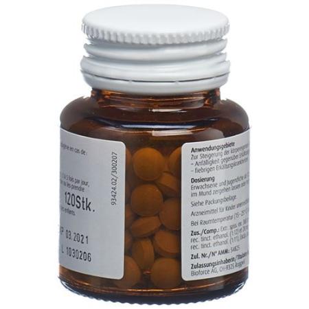 EchinaMed resistance tablets 120 pcs - PrimeCare Global
