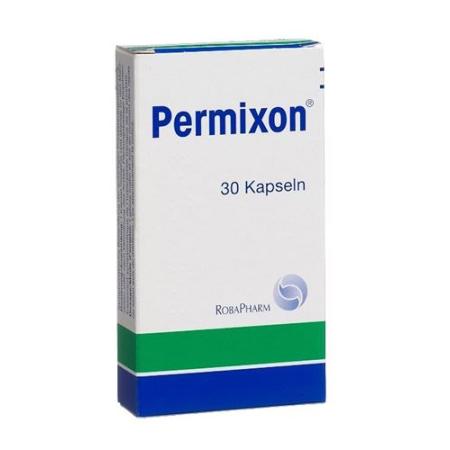 Permixon Capsules 160 mg 30 pcs - PrimeCare Global