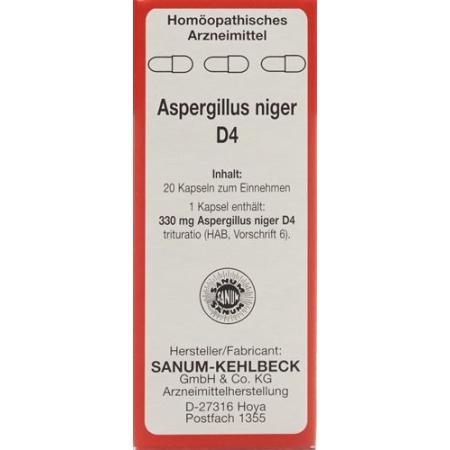 Sanum Aspergillus niger capsules D 4 20 pcs - PrimeCare Global