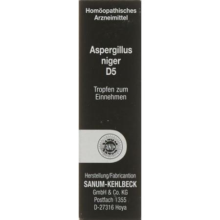 Sanum Aspergillus niger drops D 5 10 ml - PrimeCare Global
