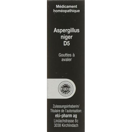 Sanum Aspergillus niger drops D 5 10 ml - PrimeCare Global