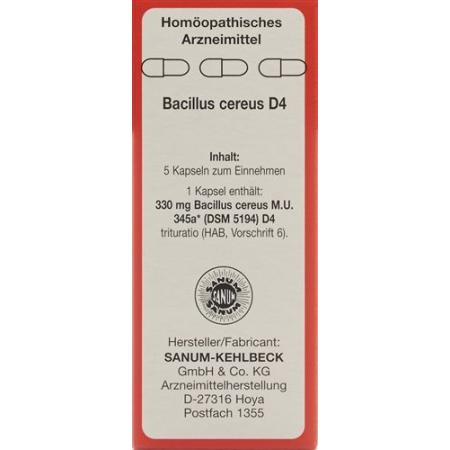 SANUM Bacillus cereus capsules D 4 5 pcs - PrimeCare Global