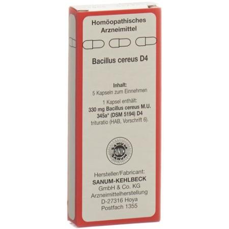 SANUM Bacillus cereus capsules D 4 5 pcs - PrimeCare Global
