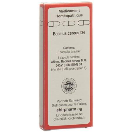 SANUM Bacillus cereus capsules D 4 5 pcs - PrimeCare Global