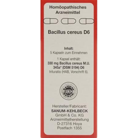 SANUM Bacillus cereus Kaps D 6 5 pcs - PrimeCare Global