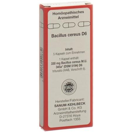 SANUM Bacillus cereus Kaps D 6 5 pcs - PrimeCare Global