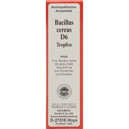 Sanum Bacillus cereus drops D 6 5 ml - PrimeCare Global