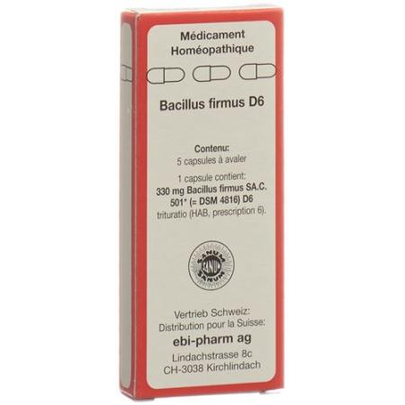 Sanum Bacillus firmus Kaps D 6 5 pcs - PrimeCare Global