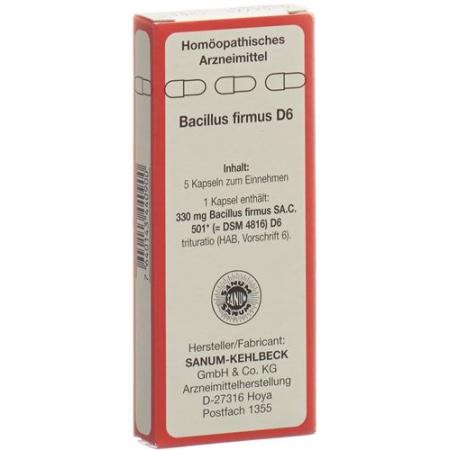 Sanum Bacillus firmus Kaps D 6 5 pcs - PrimeCare Global