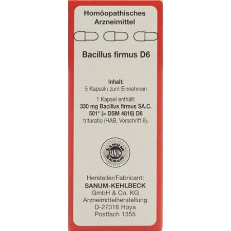 Sanum Bacillus firmus Kaps D 6 5 pcs - PrimeCare Global