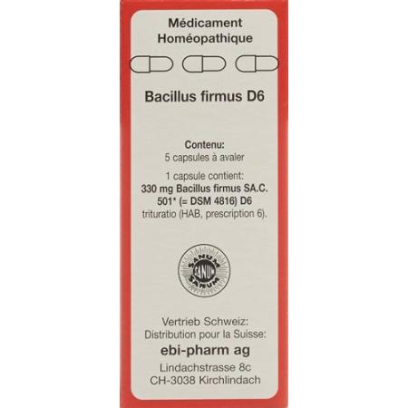 Sanum Bacillus firmus Kaps D 6 5 pcs - PrimeCare Global