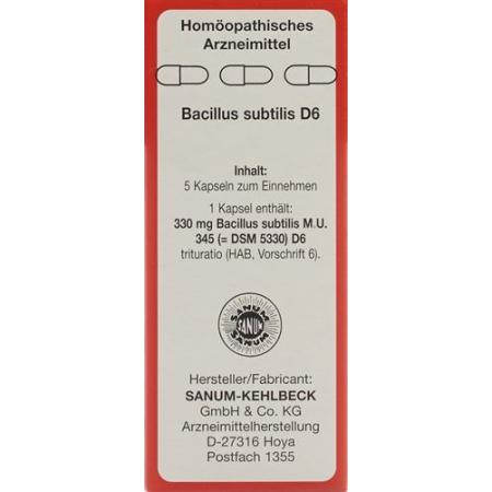 Sanum Bacillus Subtilis D6 5 Kaps - PrimeCare Global