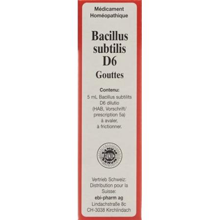 Sanum Bacillus Subtilis Tropfen D 6 5мл - PrimeCare Global